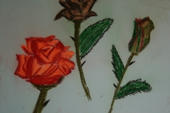 rosen1